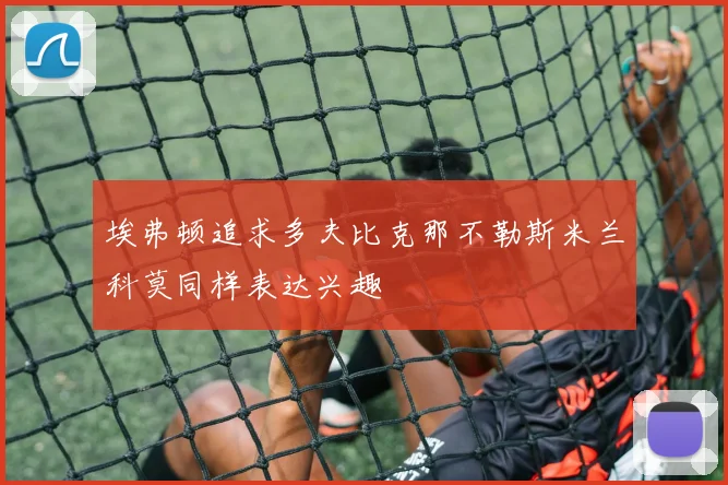 埃弗顿追求多夫比克那不勒斯米兰科莫同样表达兴趣