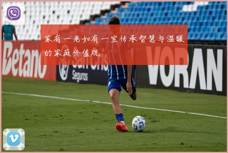 家有一老如有一宝传承智慧与温暖的家庭价值观