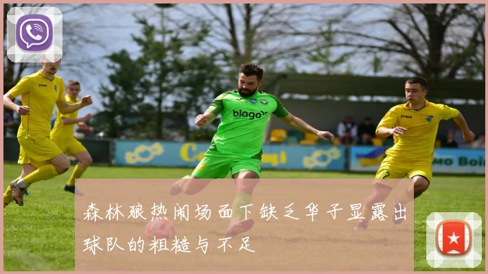 森林狼热闹场面下缺乏华子显露出球队的粗糙与不足