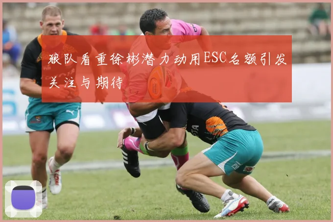 狼队看重徐彬潜力动用ESC名额引发关注与期待